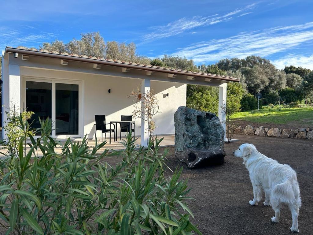 La Piana Holiday House Bassacutena Экстерьер фото