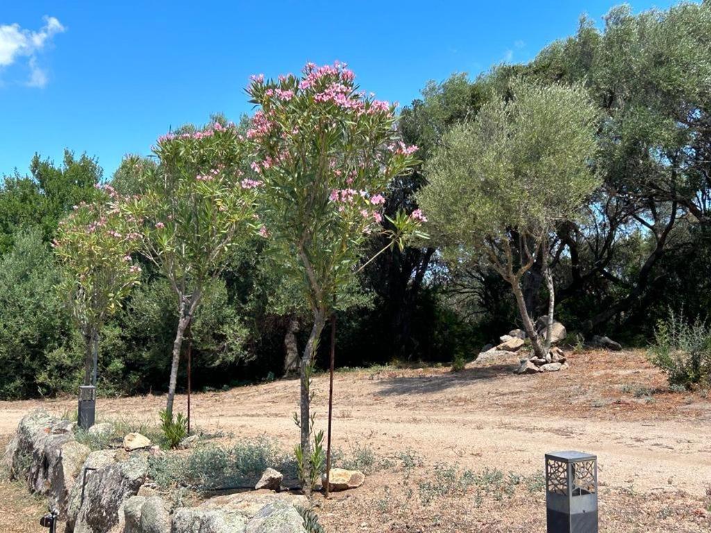La Piana Holiday House Bassacutena Экстерьер фото