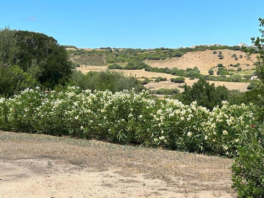 La Piana Holiday House Bassacutena Экстерьер фото