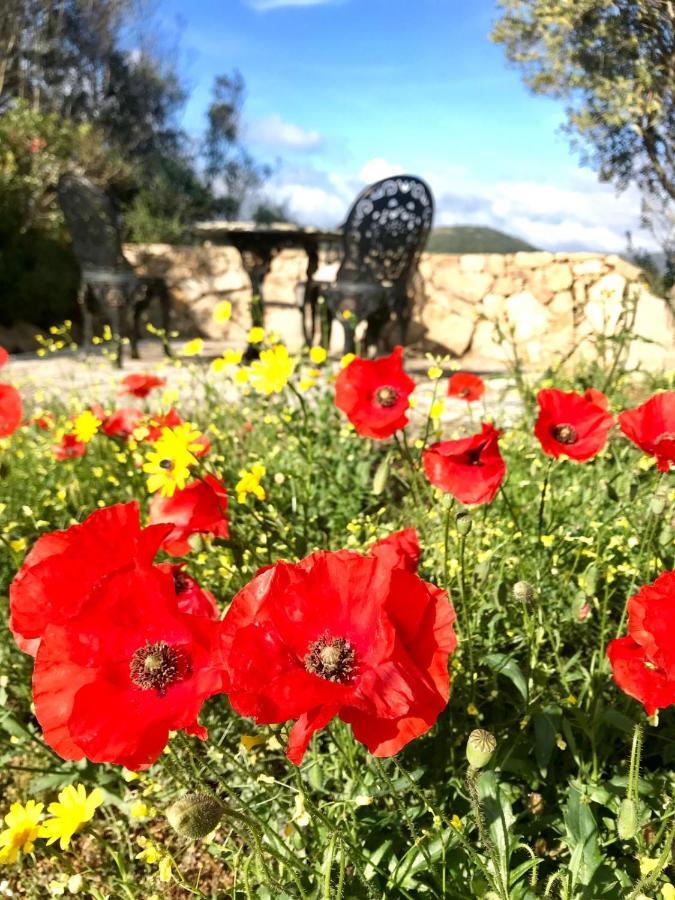 La Piana Holiday House Bassacutena Экстерьер фото